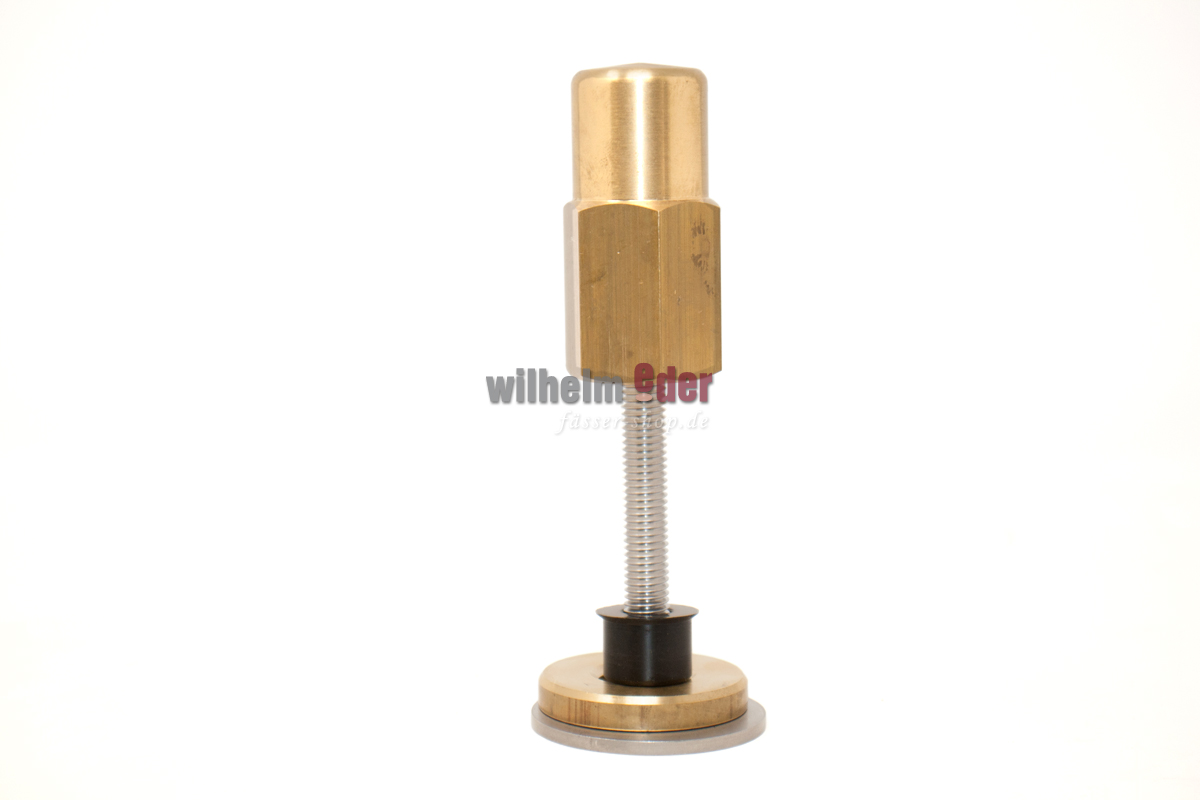 schraube_fuer_glasplatte_1 Stainless steel barrel screw - Glass plate holder