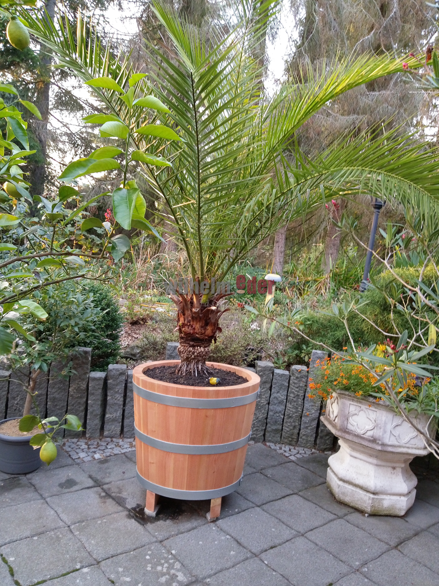 IMAG0380-1
