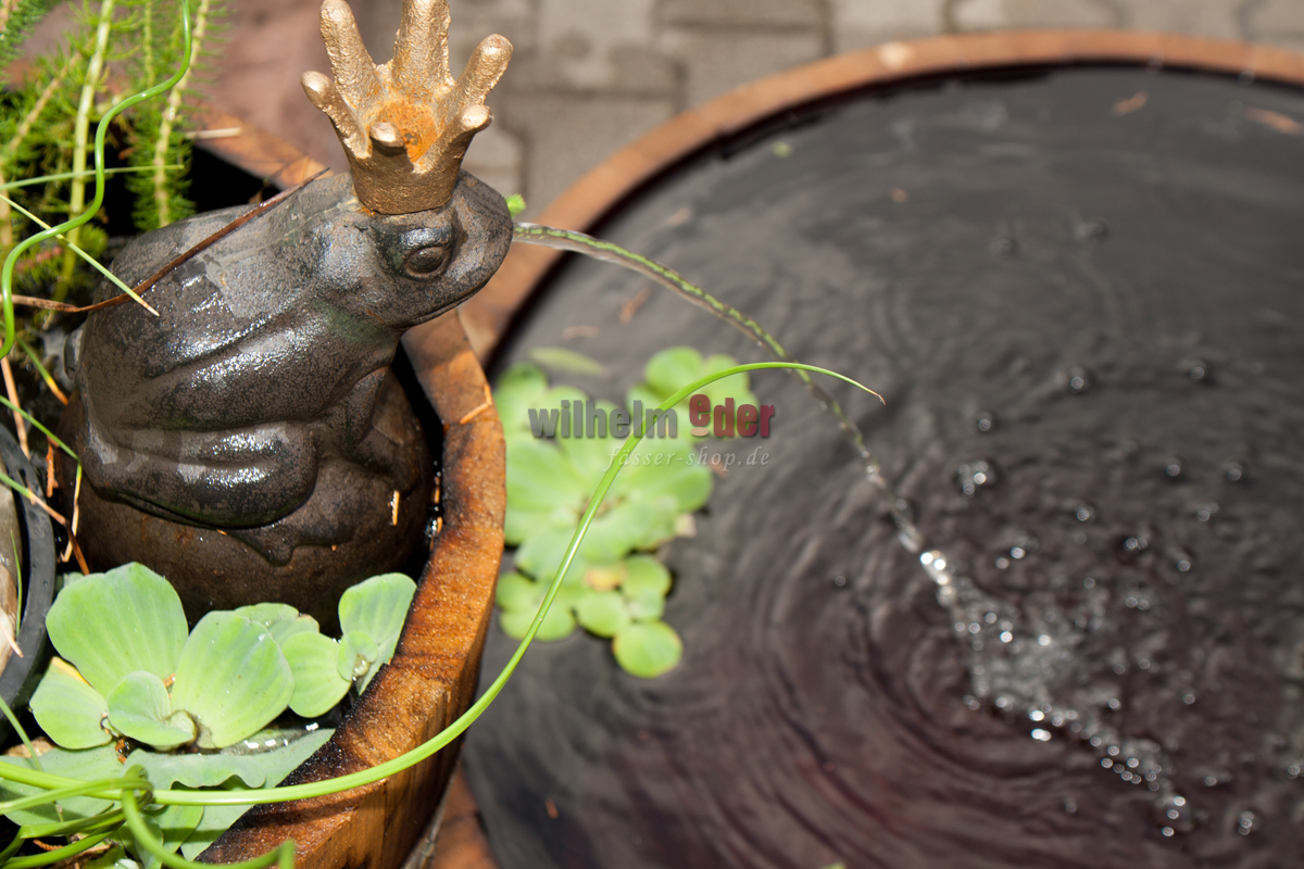 Blumenkuebel_miniteich_wasserspeier_4jZp4YkCxqvgY5